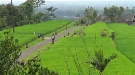 Dataran rendah di sumatera  Waghete merupakan kota kecil yang terletak di Kabupaten Deiyai, Provinsi Papua